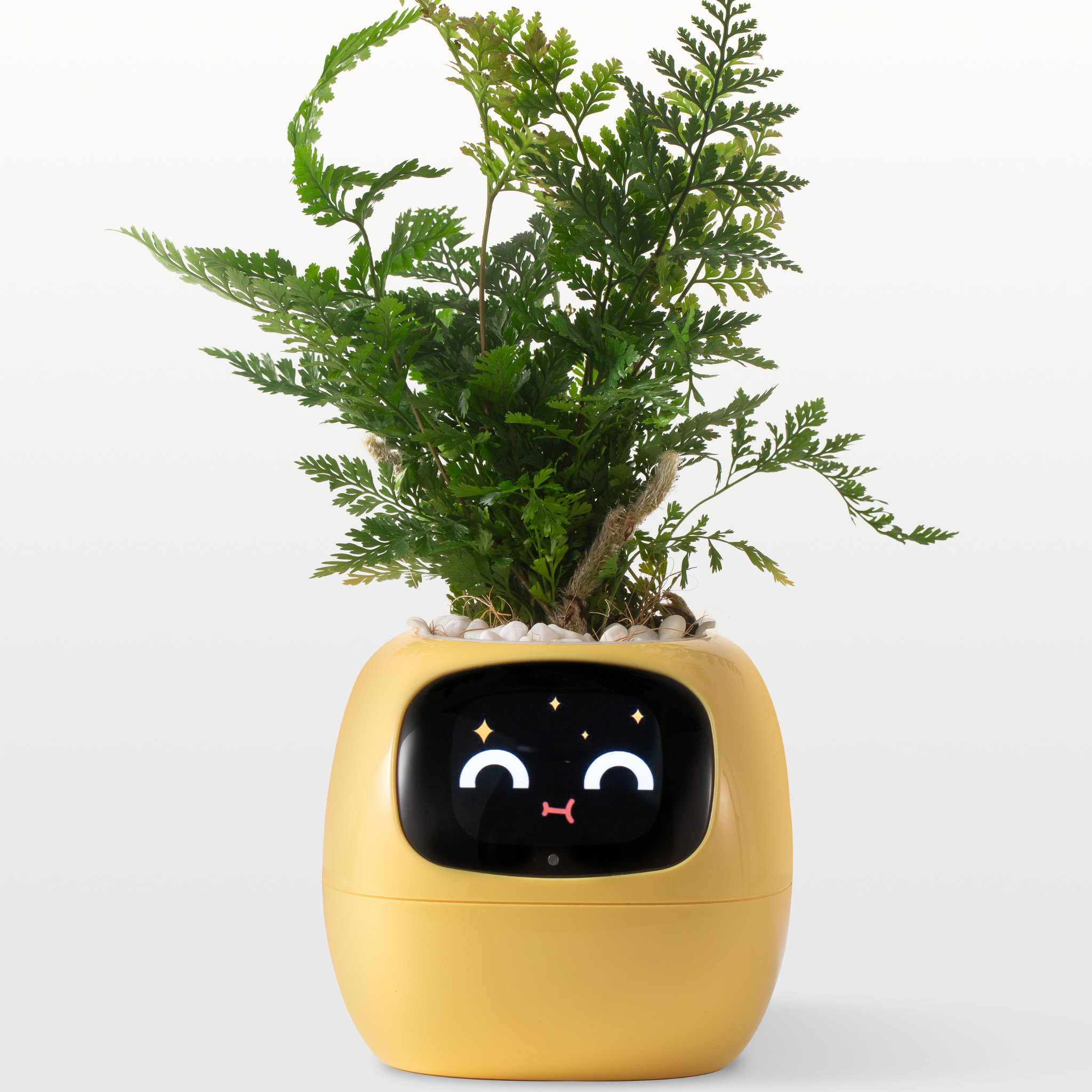 EmojiPlant | Kreativer Emoji Blumentopf