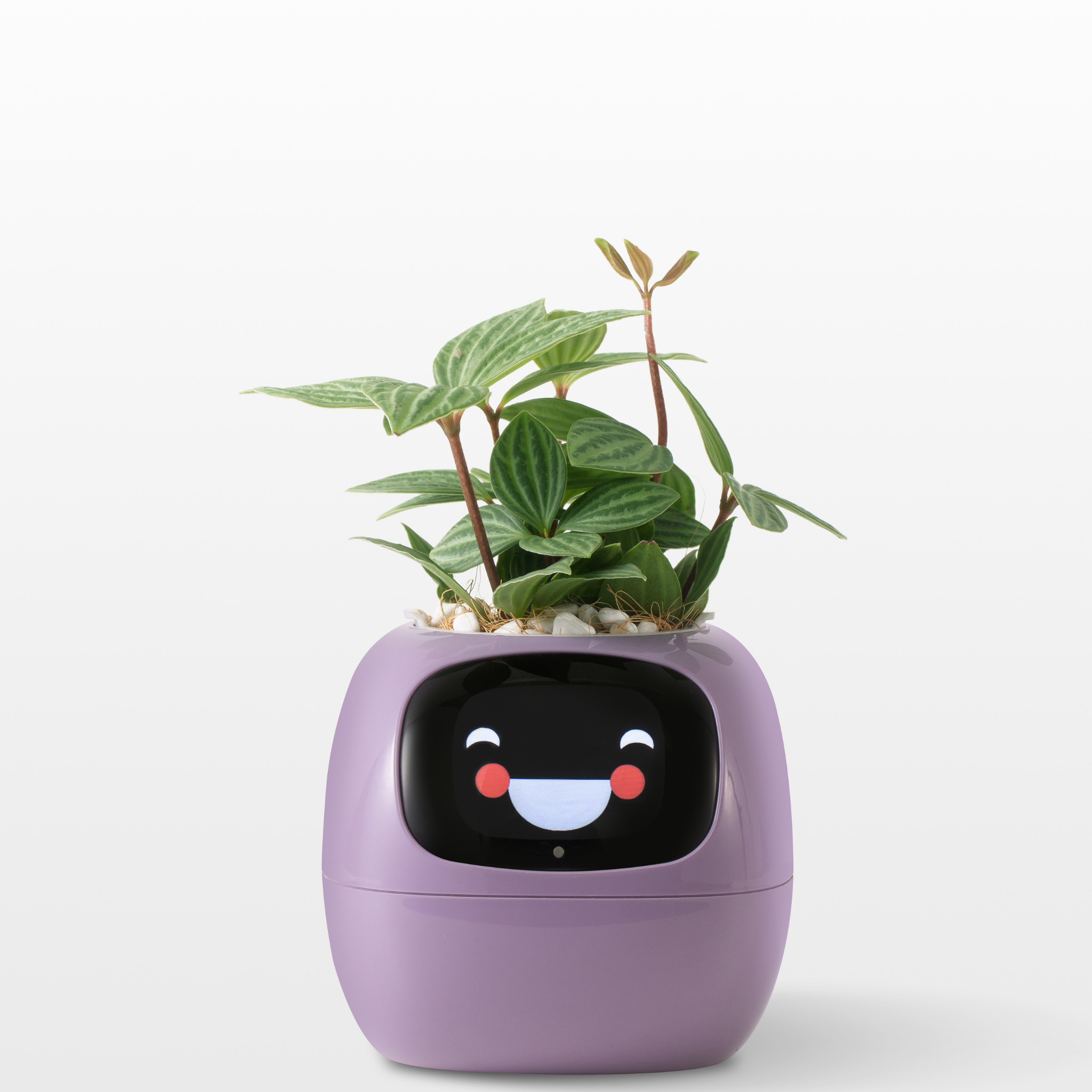 EmojiPlant | Kreativer Emoji Blumentopf