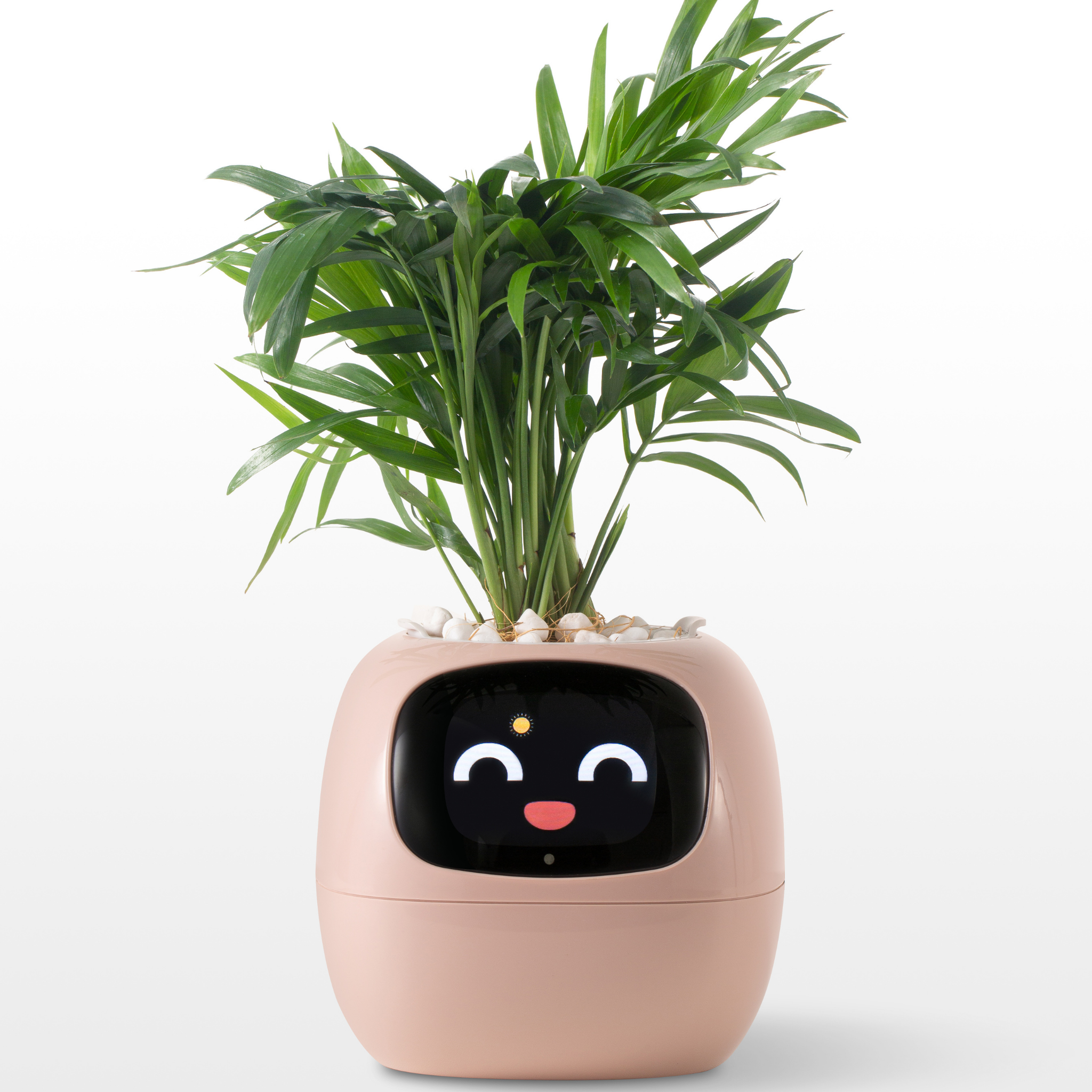EmojiPlant | Kreativer Emoji Blumentopf
