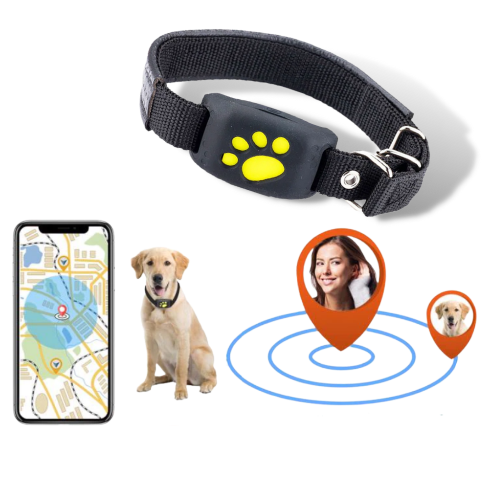 GPS-Tracking-Halsband für Haustiere