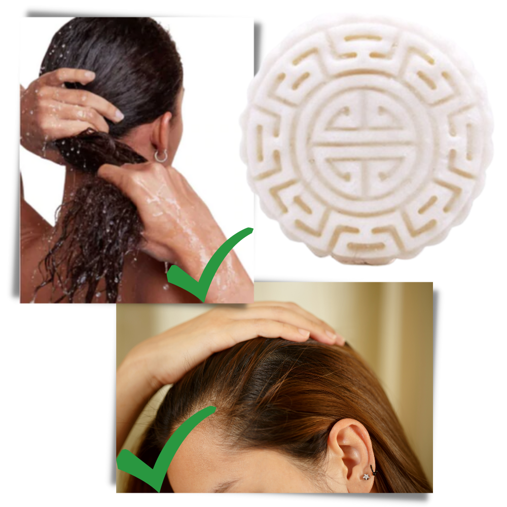 Fester Reis Shampoo & Conditioner Bar