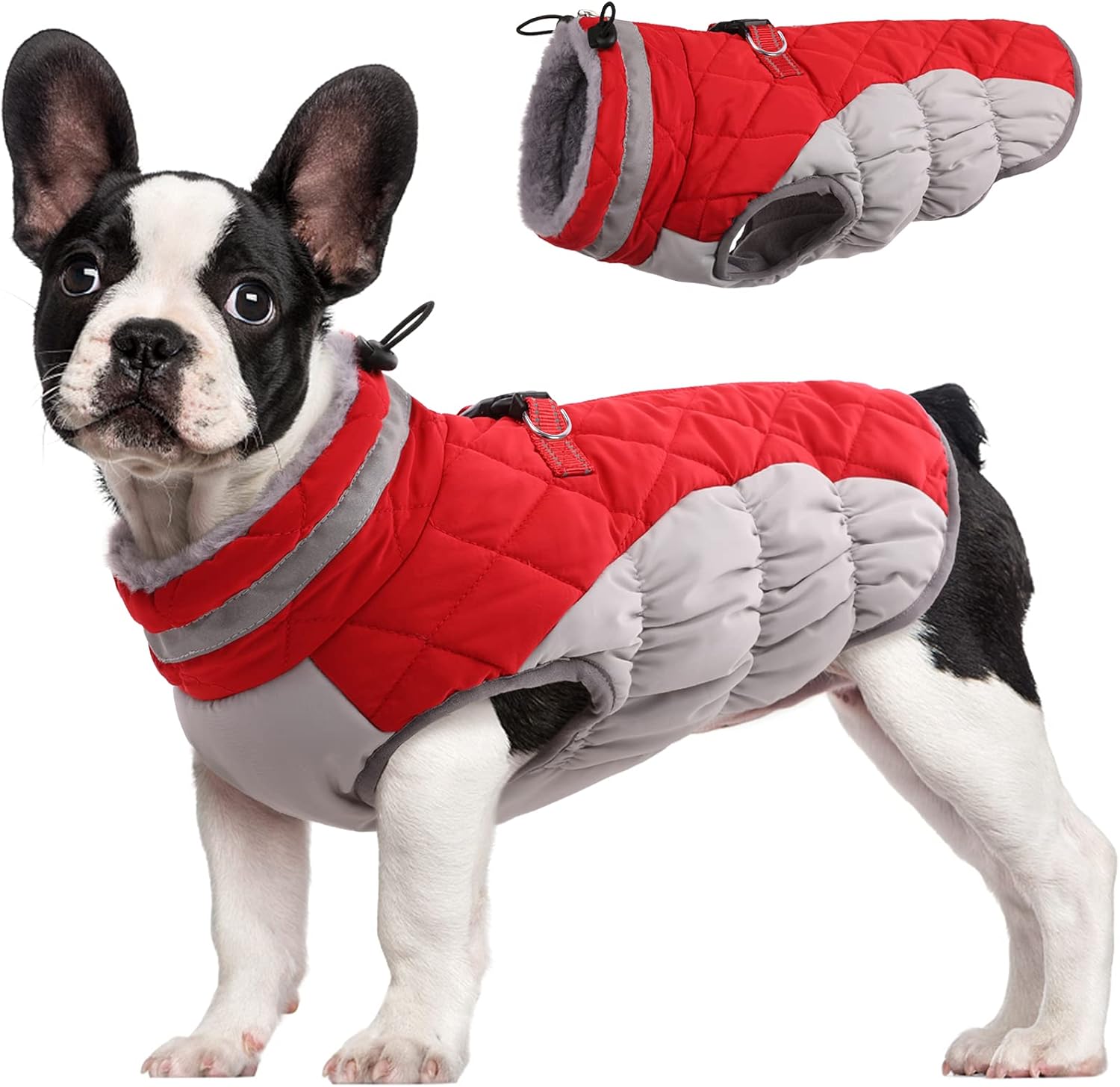 SafeWalk Wintergeschirr Jacke – Wasserdichte Hundejacke mit Reflektion und Fleece-Futter