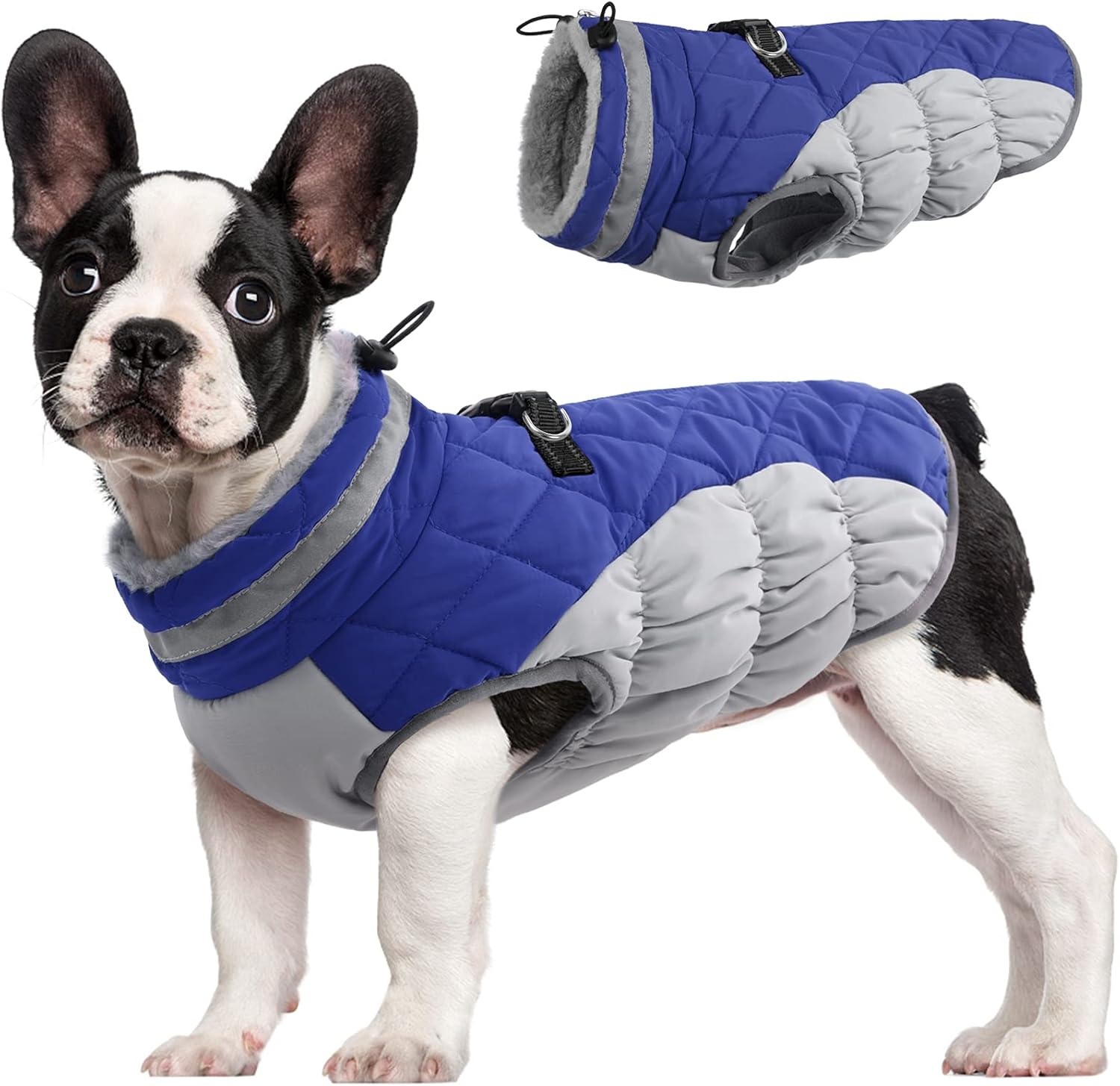 SafeWalk Wintergeschirr Jacke – Wasserdichte Hundejacke mit Reflektion und Fleece-Futter