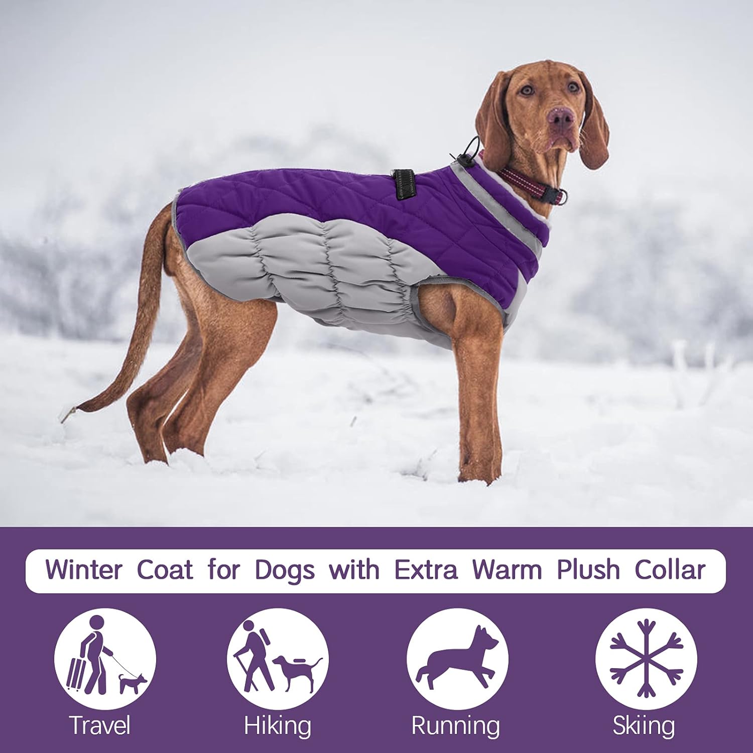 SafeWalk Wintergeschirr Jacke – Wasserdichte Hundejacke mit Reflektion und Fleece-Futter