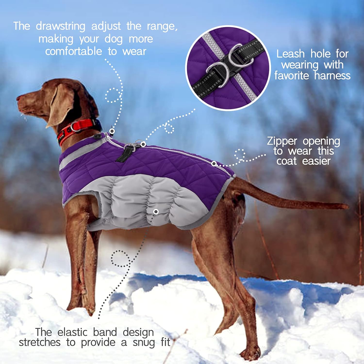 SafeWalk Wintergeschirr Jacke – Wasserdichte Hundejacke mit Reflektion und Fleece-Futter