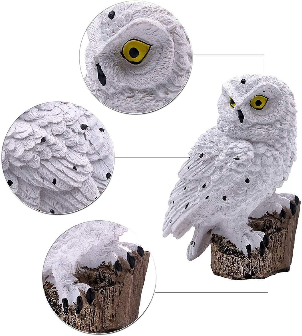 SolarGlow Gartenlampe | Umweltfreundliche Solarleuchte für eine lebendige Außenatmosphäre