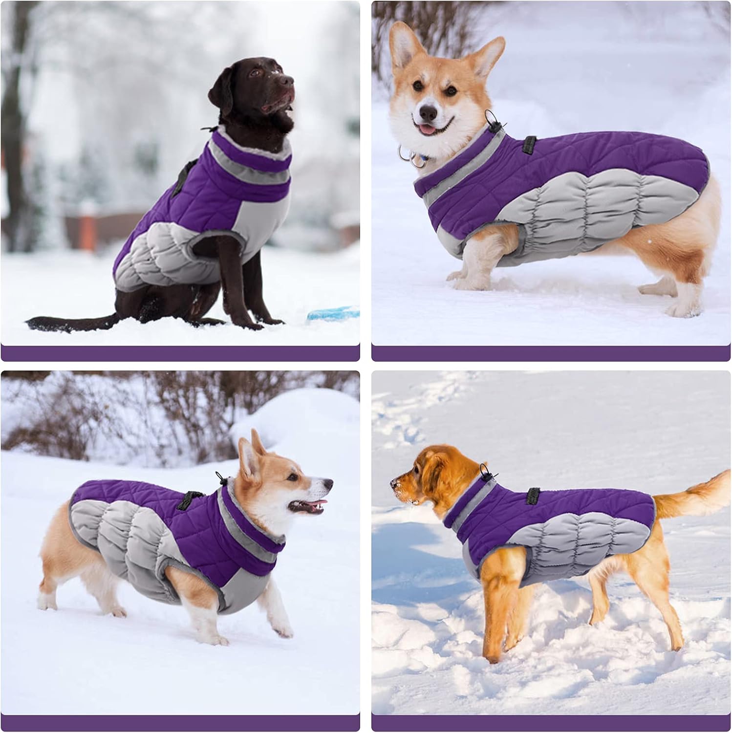 SafeWalk Wintergeschirr Jacke – Wasserdichte Hundejacke mit Reflektion und Fleece-Futter