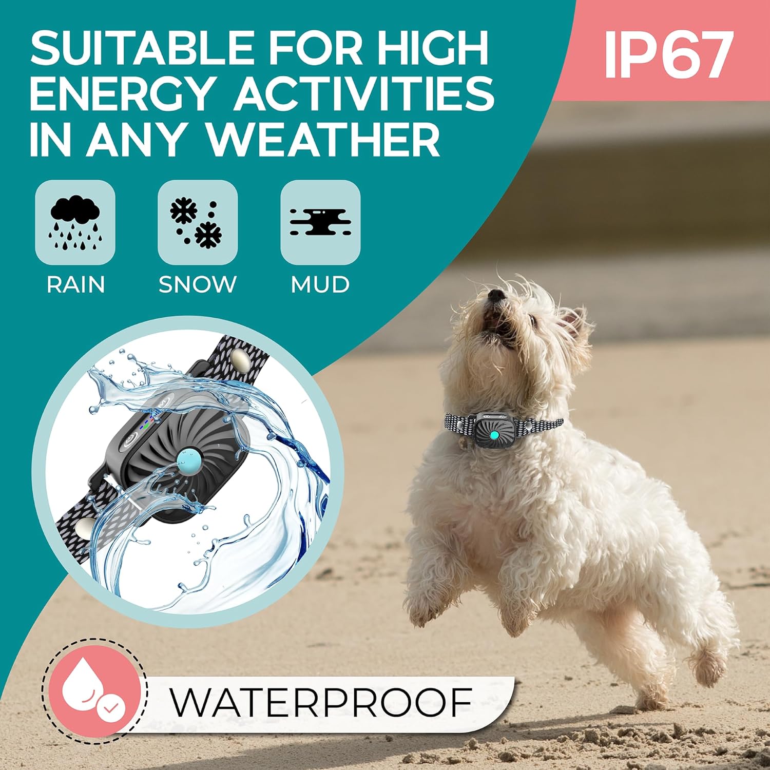 Antibellhalsband für kleine Hunde