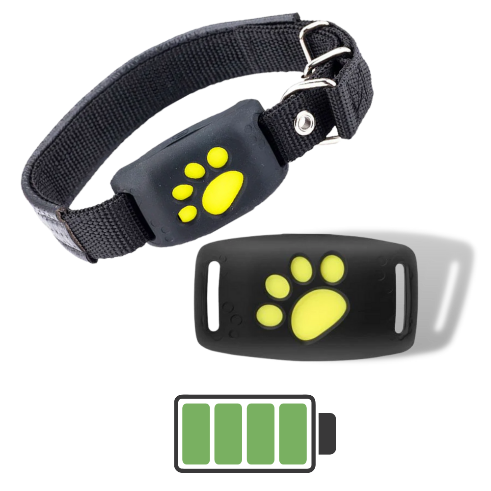 GPS-Tracking-Halsband für Haustiere