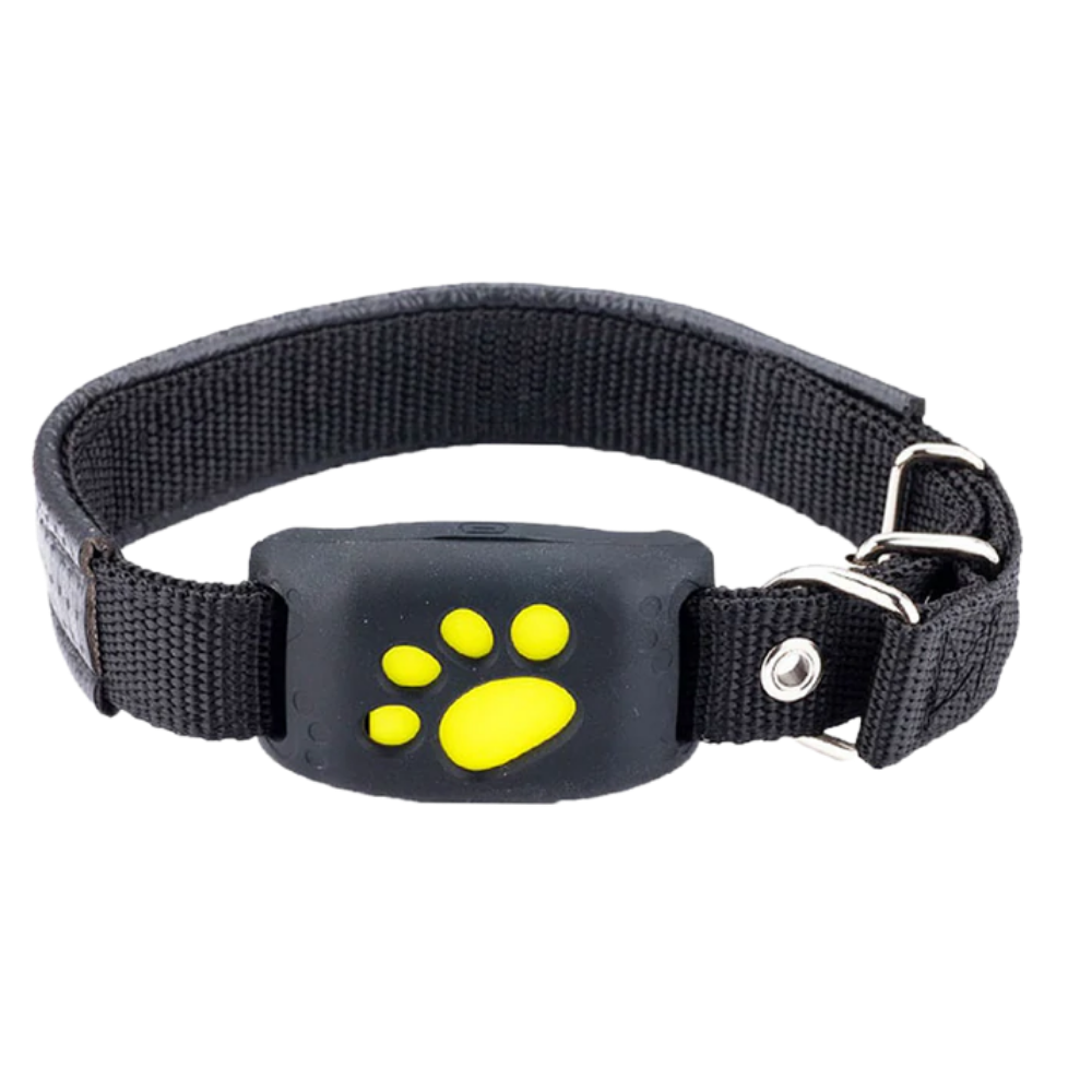 GPS-Tracking-Halsband für Haustiere