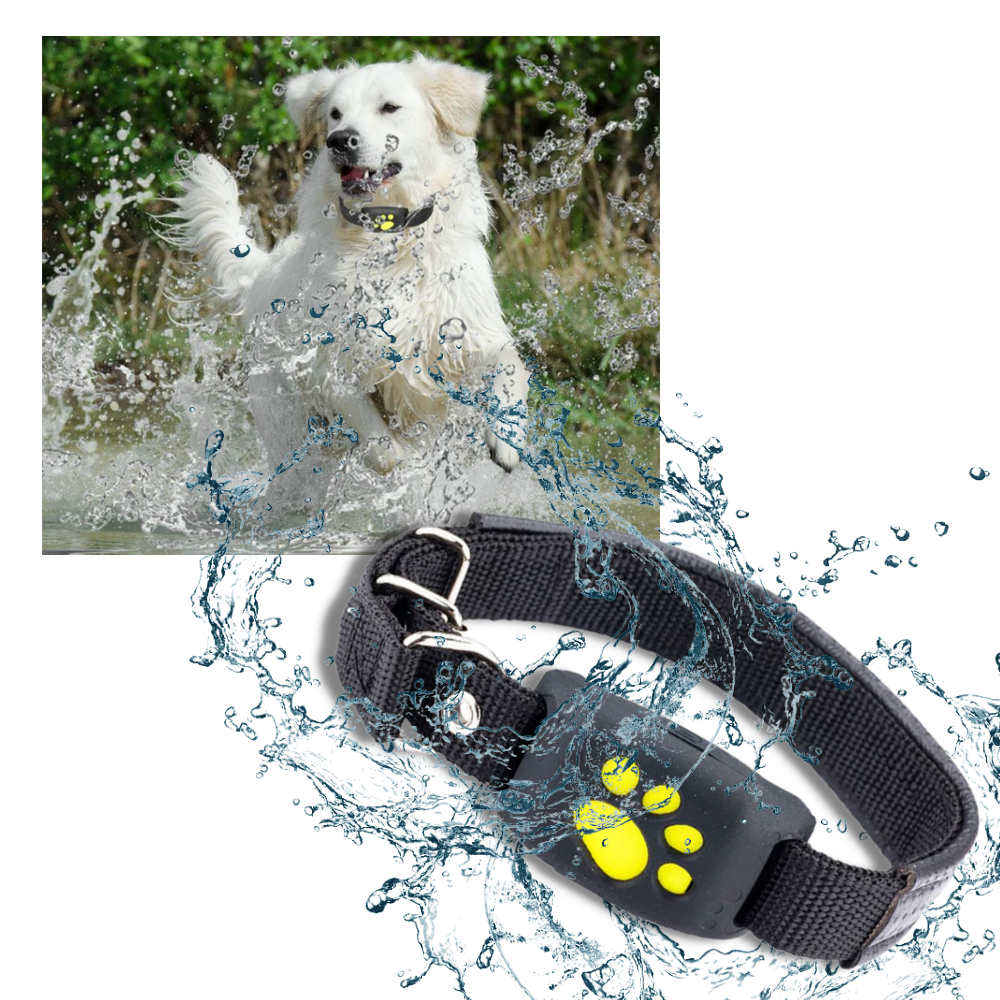 GPS-Tracking-Halsband für Haustiere