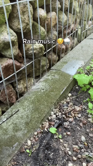 ZenHarmony Zungentrommel | Beruhigende Klänge für tiefgehende Meditation