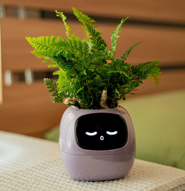 EmojiPlant | Kreativer Emoji Blumentopf
