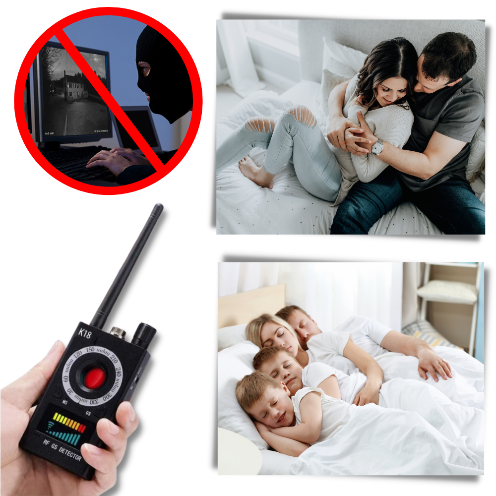 Fortschrittlicher Frequenz-Bug-Detektor