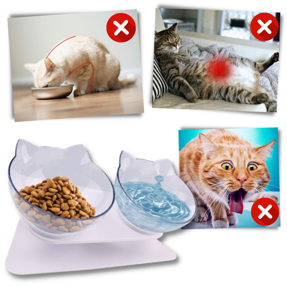 Erhöhter Komfortnapf für Katzen