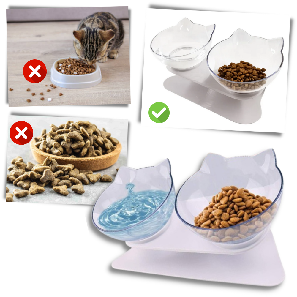Erhöhter Komfortnapf für Katzen
