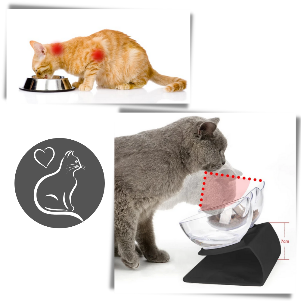 Erhöhter Komfortnapf für Katzen