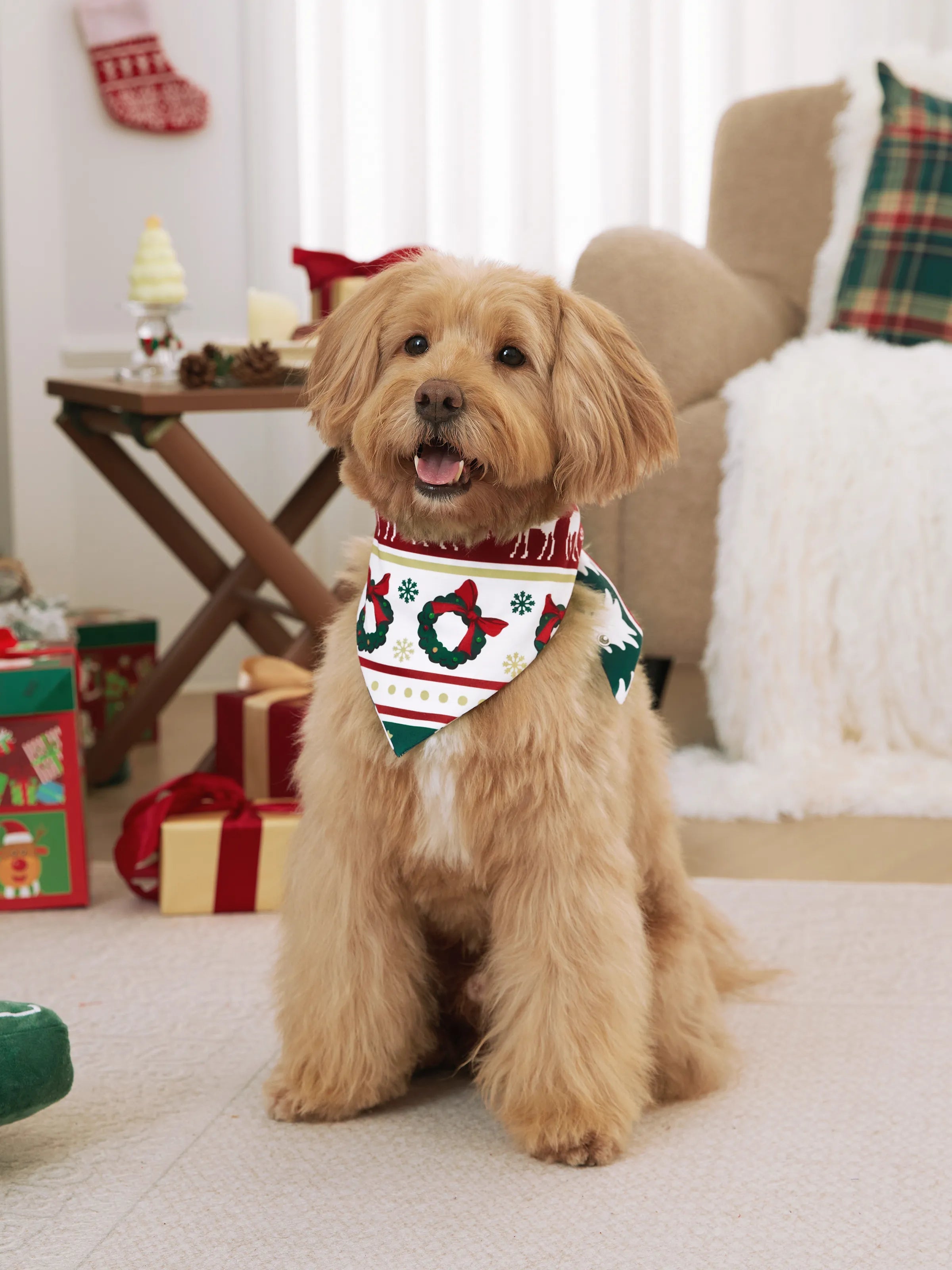 ReindeerJams | Familienpassende Weihnachts-Pyjamas mit Rentier- und Weihnachtsbaum-Muster und ColorBlock-Socken