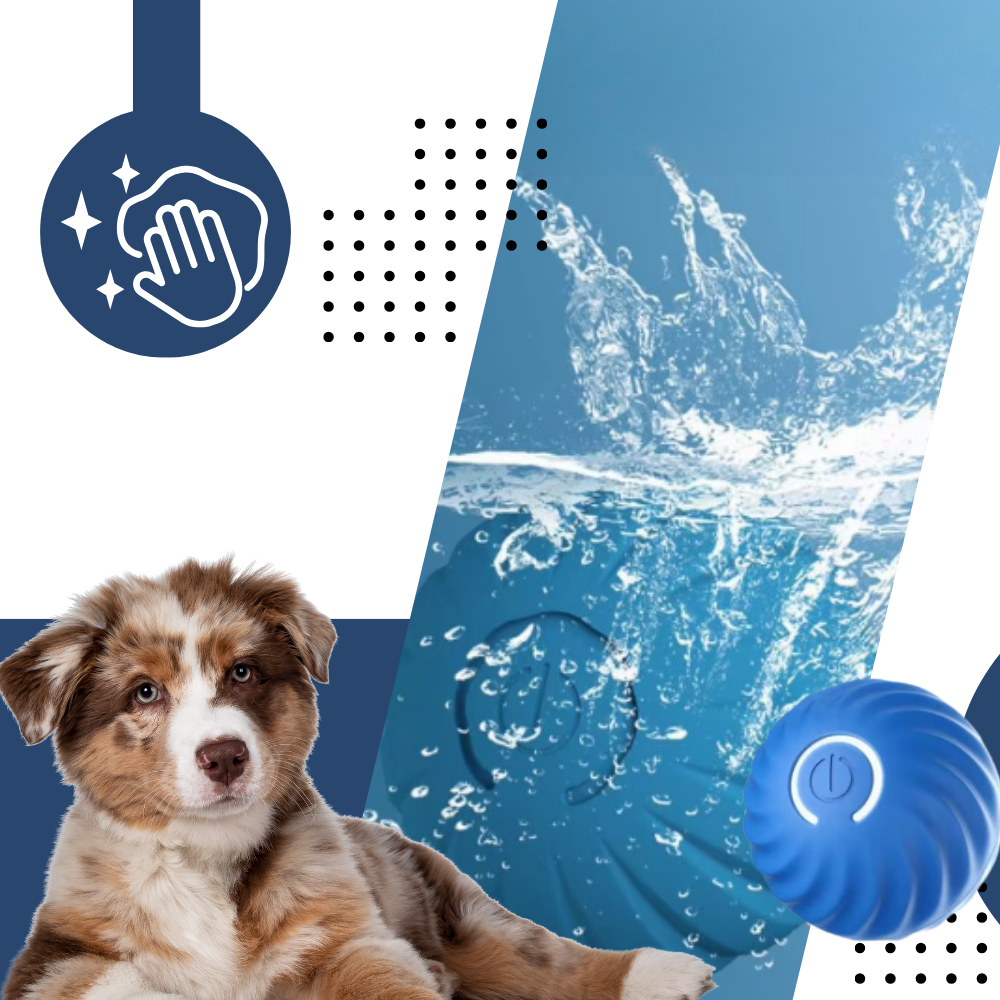 Hindernisvermeidung Hundeball