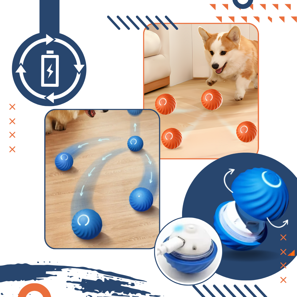 Hindernisvermeidung Hundeball