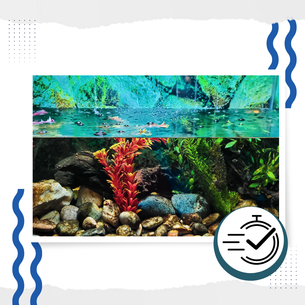 Präventives Aquarien-Algenmittel