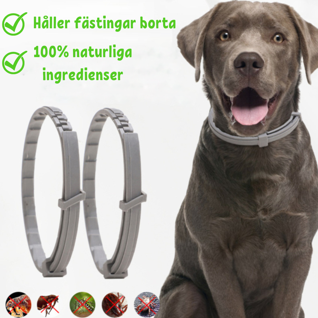 PetGuard | Mehrfachschutz-Halsband gegen Flöhe und Zecken