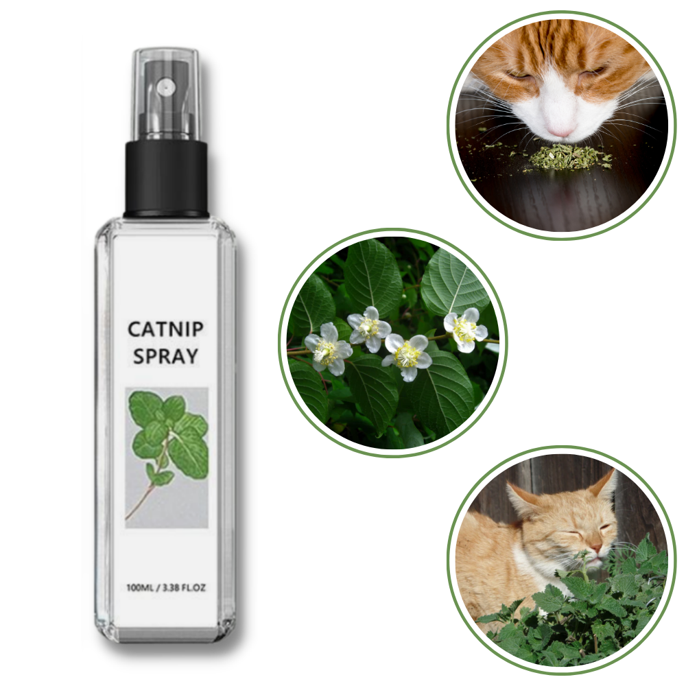 Reines Natürliches Silberwein für Katzen