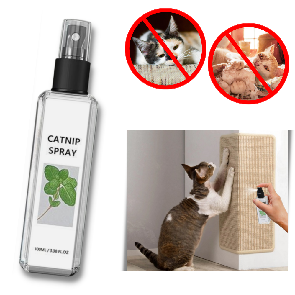 Reines Natürliches Silberwein für Katzen