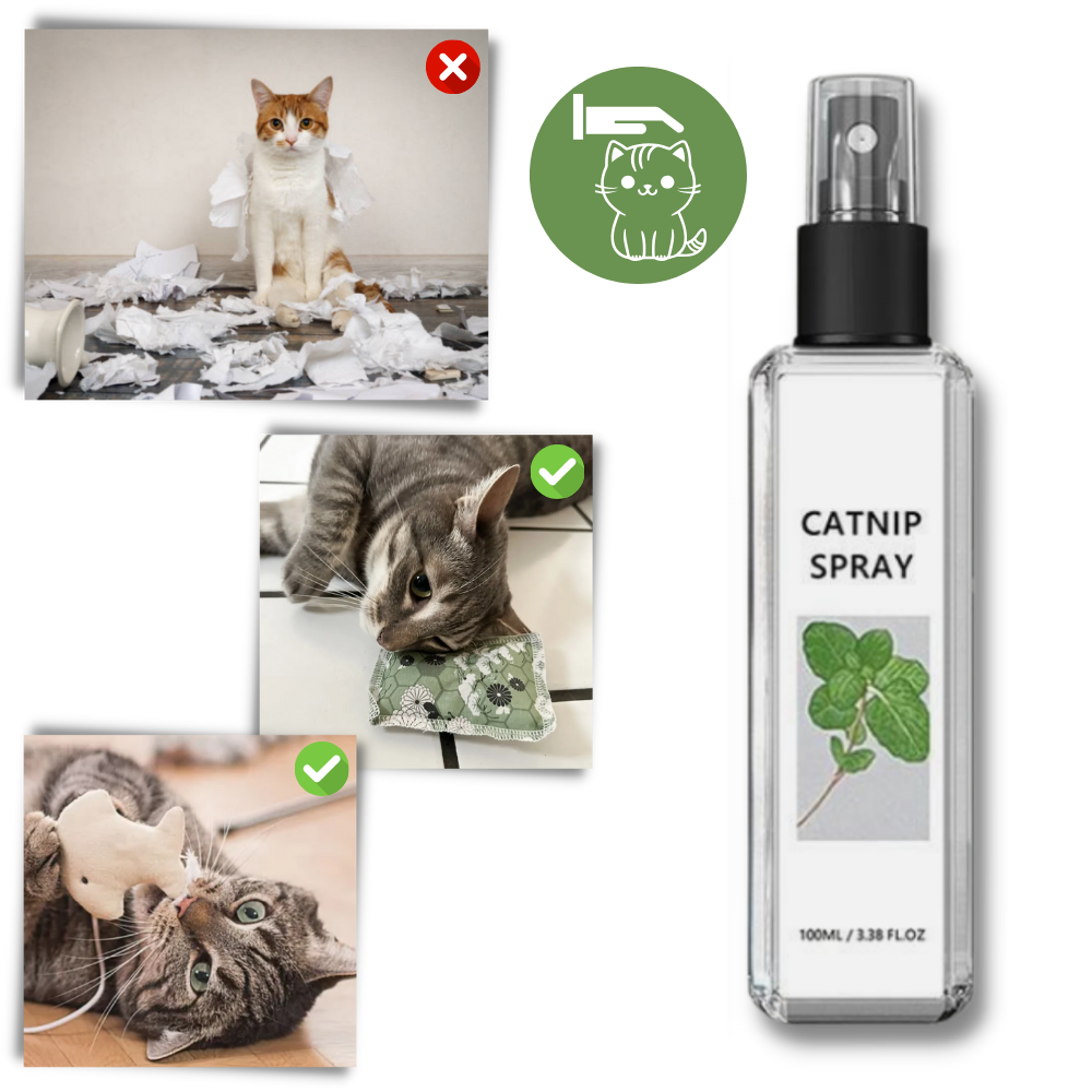 Reines Natürliches Silberwein für Katzen