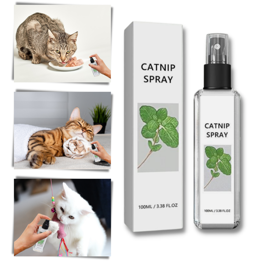 Reines Natürliches Silberwein für Katzen