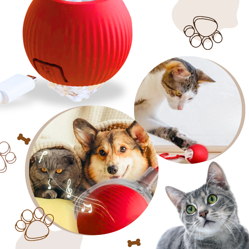 Intelligentes interaktives Katzenspielzeug Ball