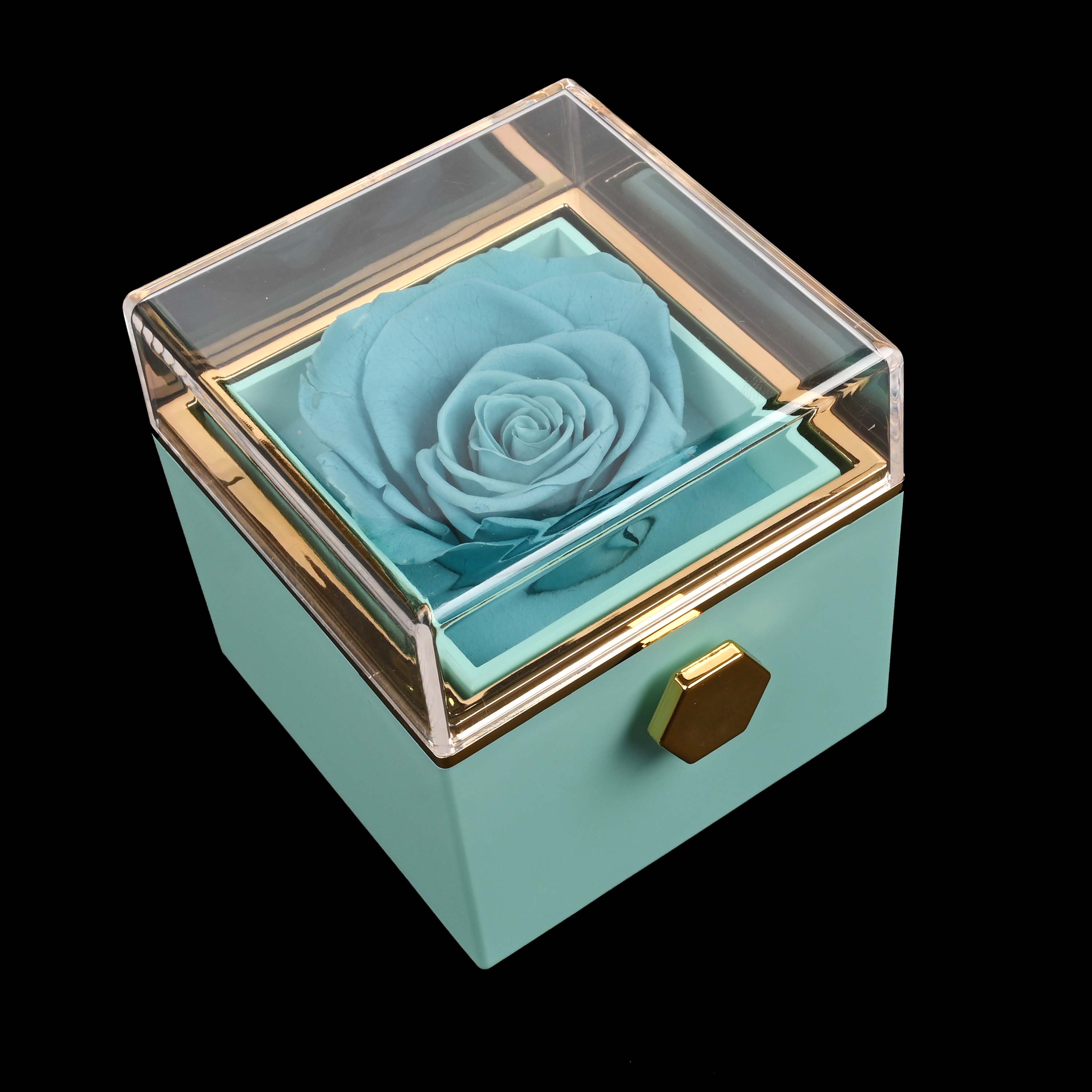 HeartBond | Halskette mit Ewiger Rose Box
