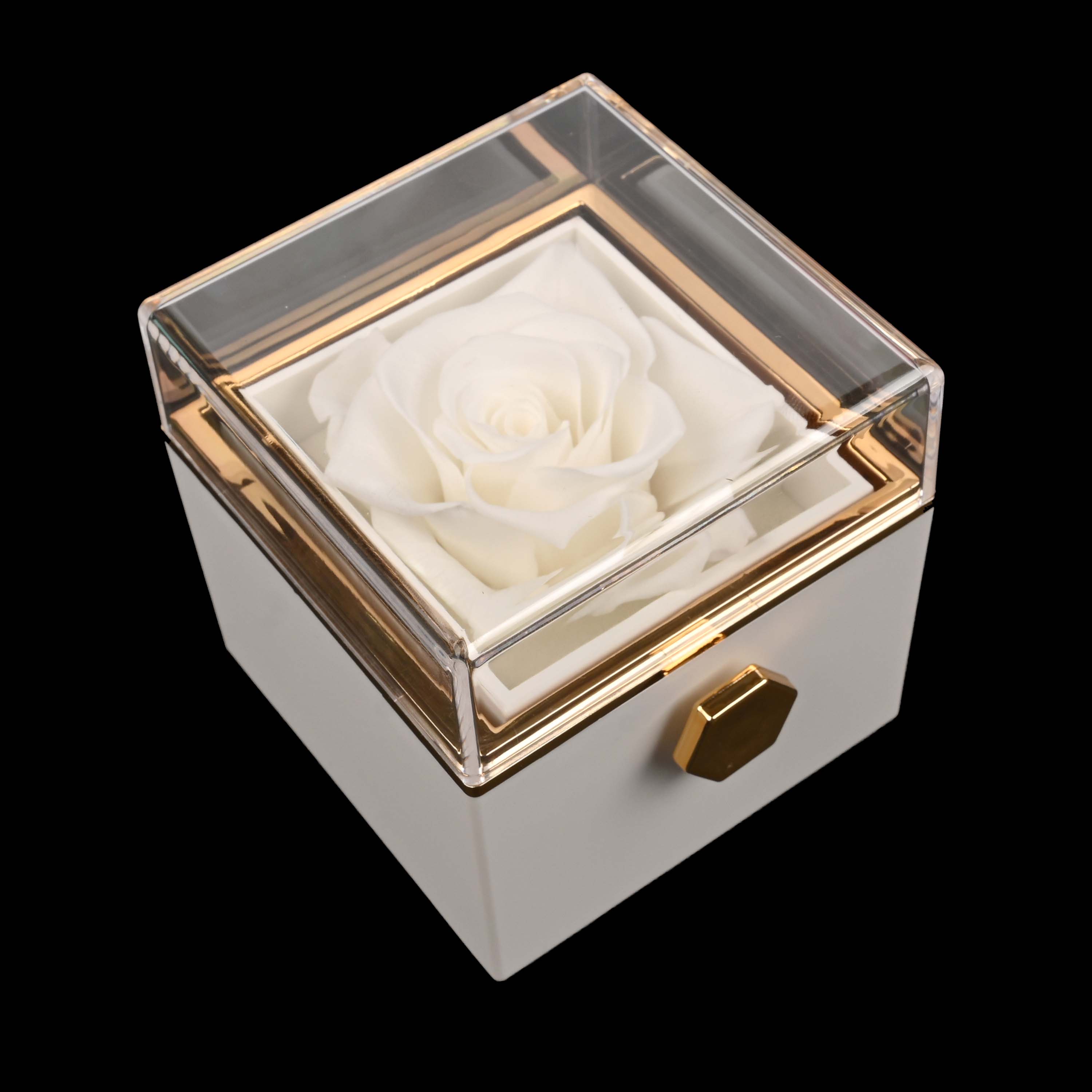 HeartBond | Halskette mit Ewiger Rose Box