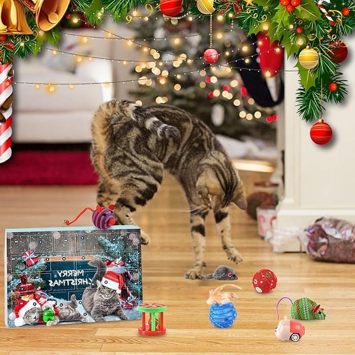 Pawfect | 2025 Adventskalender zum Countdown für Katzen und Hunde