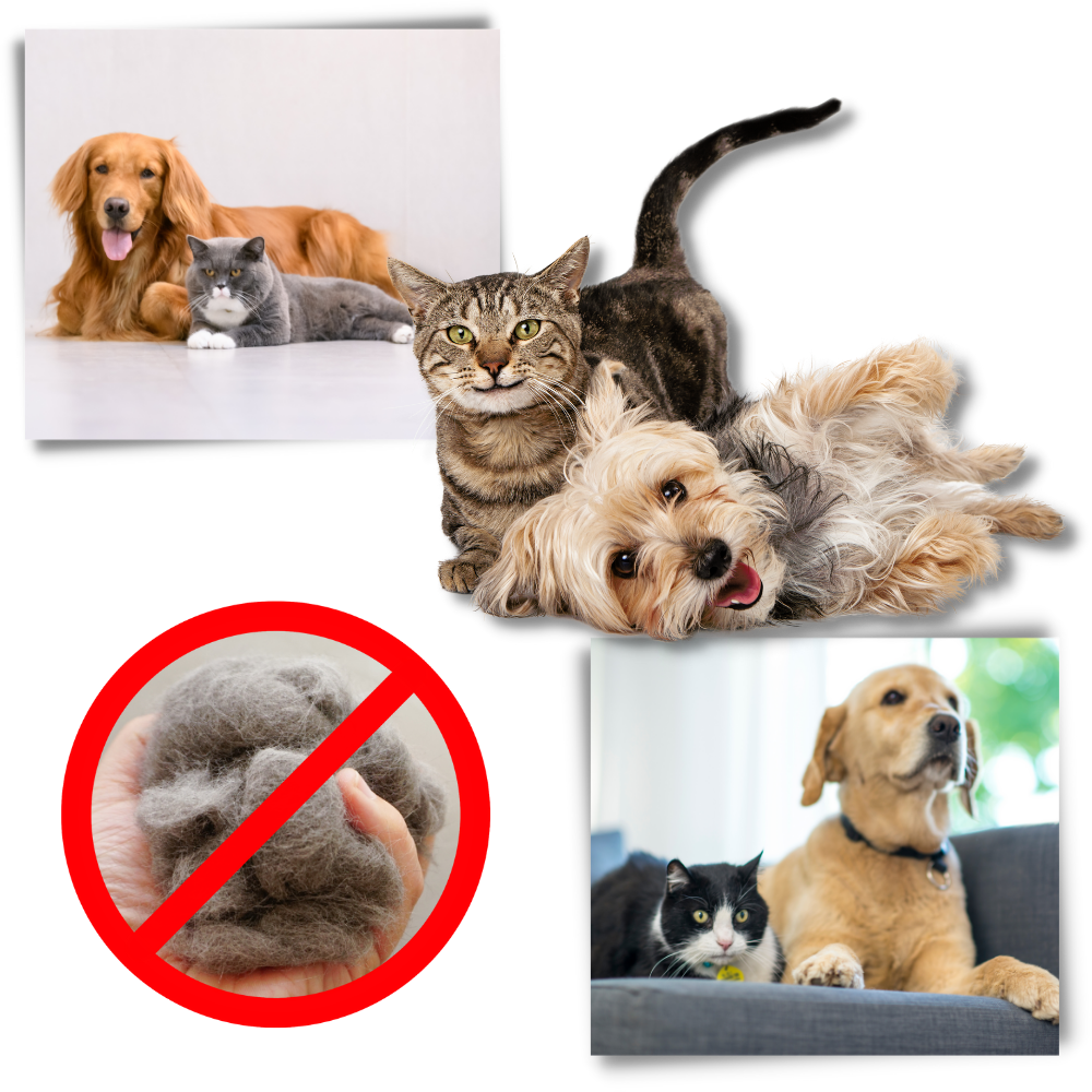 Ultimative Entfilzungsbürste für Hunde und Katzen