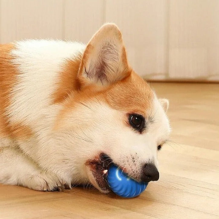 Happyl bal | Unendlicher Spielspaß für deinen tierischen Freund!