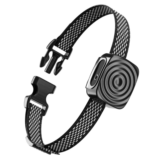 Antibellhalsband für kleine Hunde