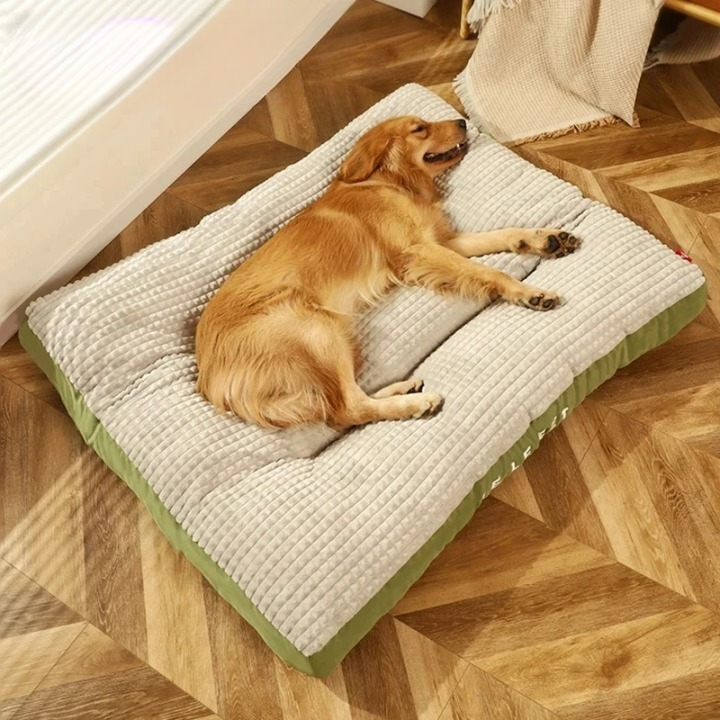 SnoozePaw Luxe Hundebett – Robuster Schaum, Abnehmbarer Bezug und Optimale Unterstützung