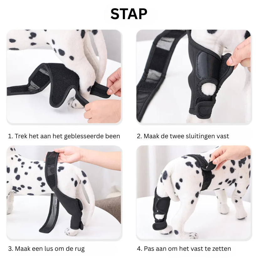 PootVitaal Knieschiene für Hunde – Unterstützung bei Gelenkschmerzen und Rehabilitation