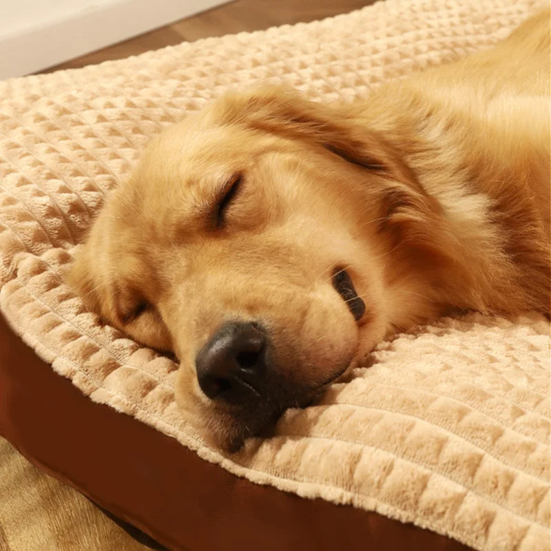 SnoozePaw Luxe Hundebett – Robuster Schaum, Abnehmbarer Bezug und Optimale Unterstützung