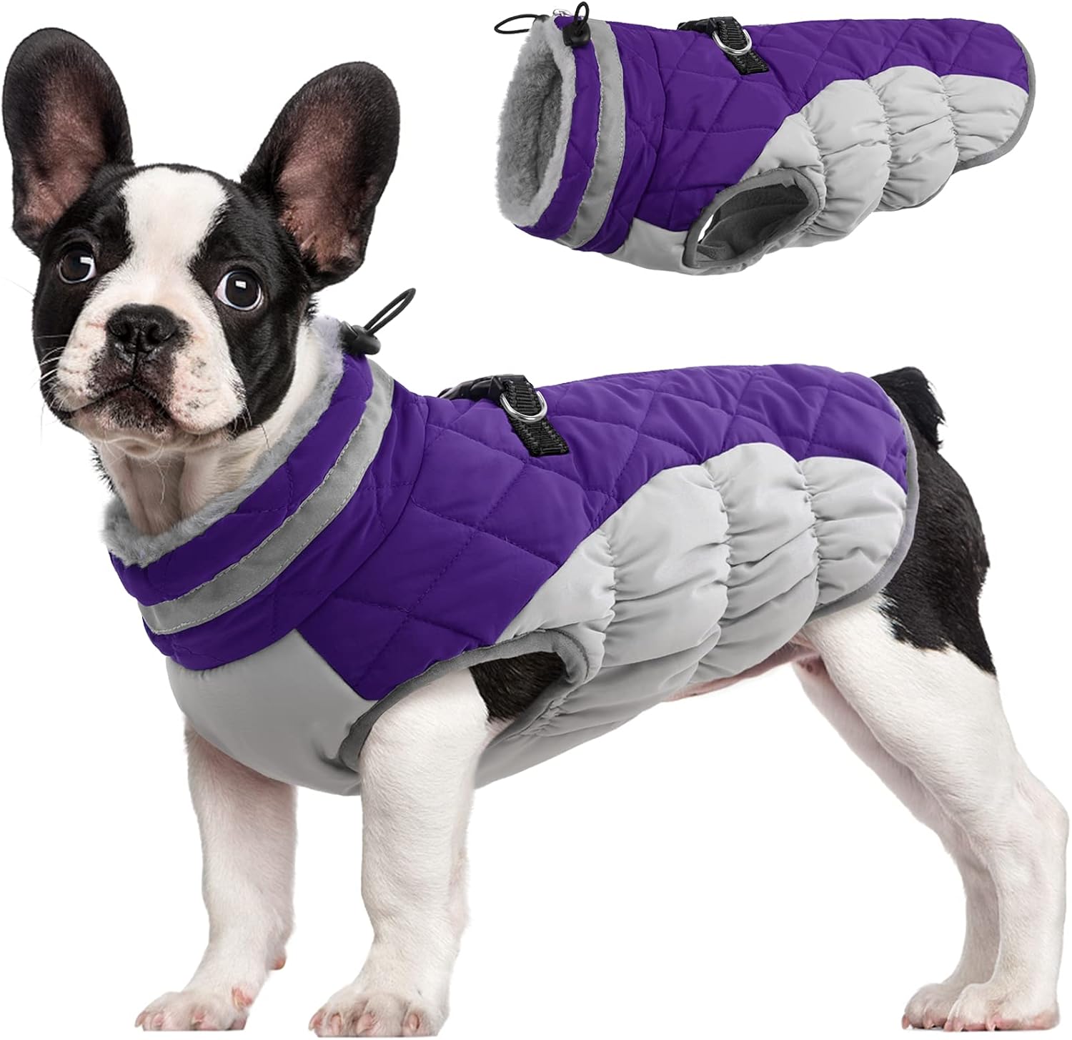 SafeWalk Wintergeschirr Jacke – Wasserdichte Hundejacke mit Reflektion und Fleece-Futter