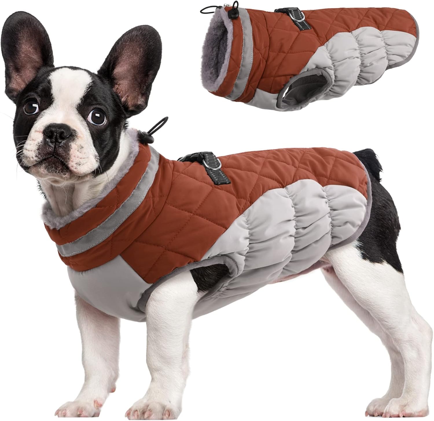 SafeWalk Wintergeschirr Jacke – Wasserdichte Hundejacke mit Reflektion und Fleece-Futter