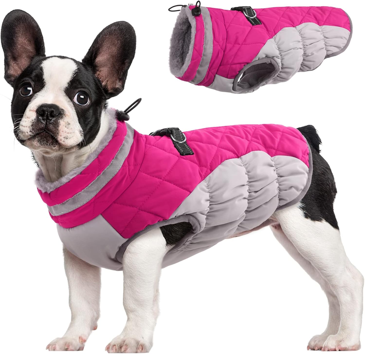SafeWalk Wintergeschirr Jacke – Wasserdichte Hundejacke mit Reflektion und Fleece-Futter