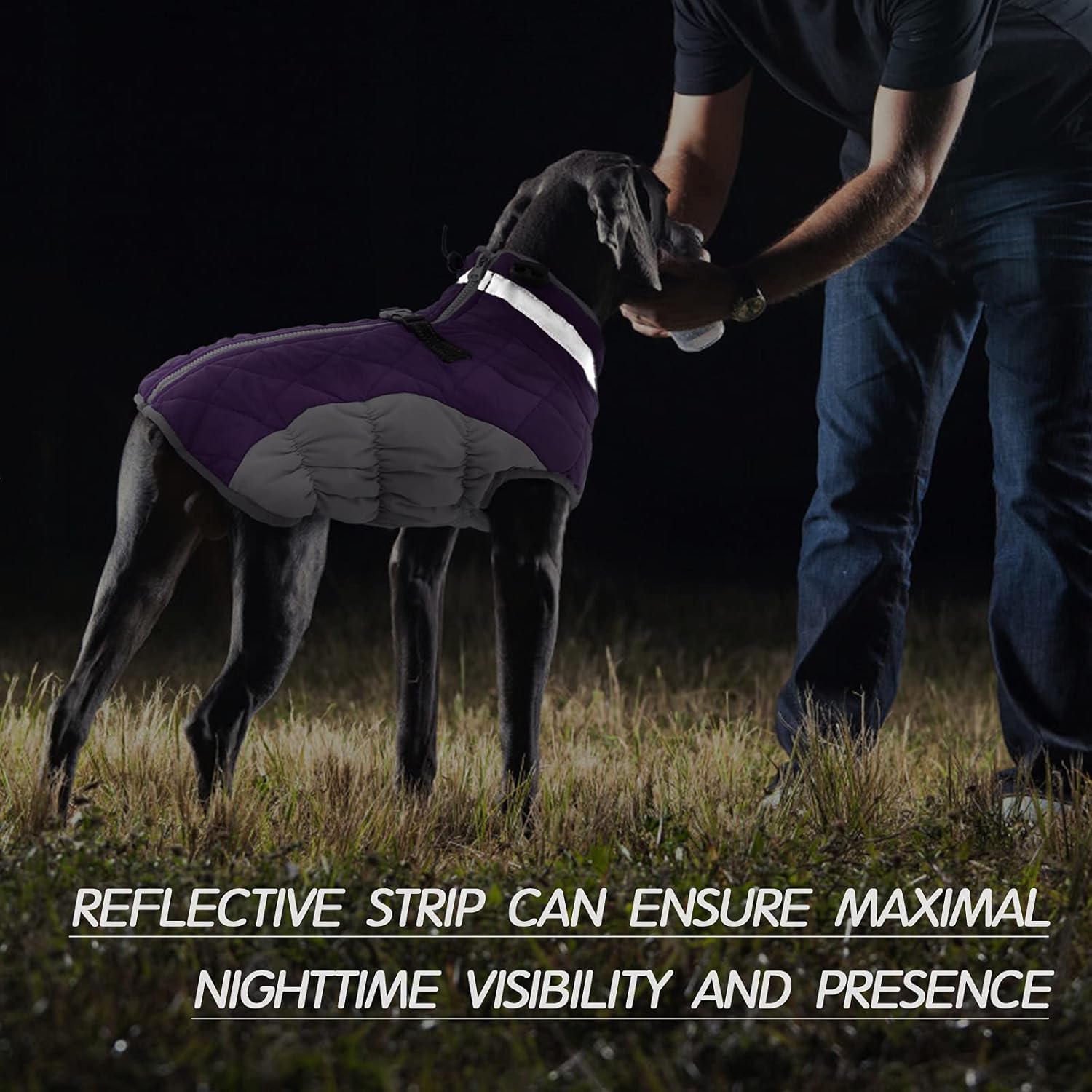 SafeWalk Wintergeschirr Jacke – Wasserdichte Hundejacke mit Reflektion und Fleece-Futter