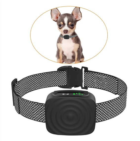 Antibellhalsband für kleine Hunde