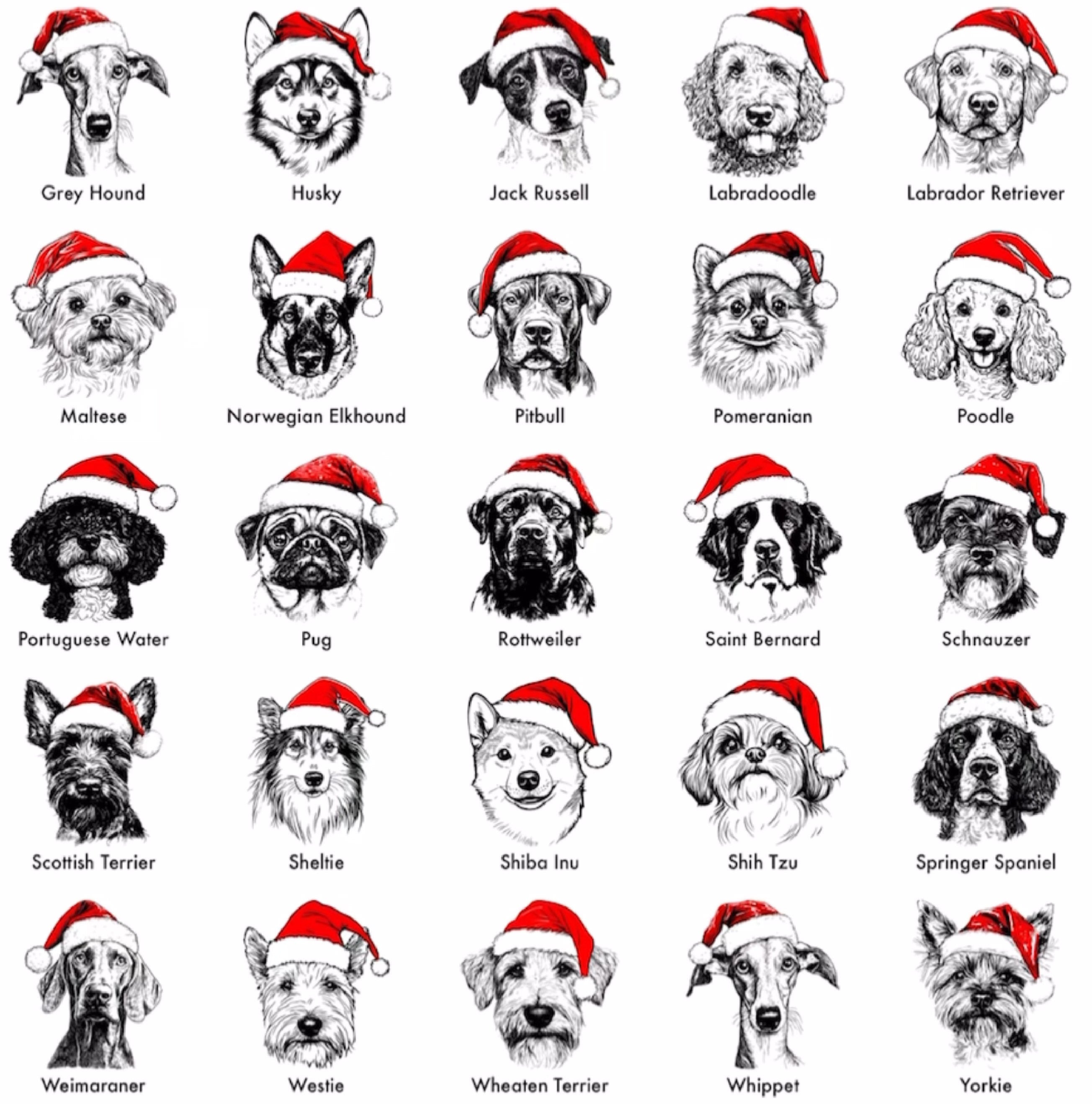 Santa Paws - Weihnachts-Hundepullover