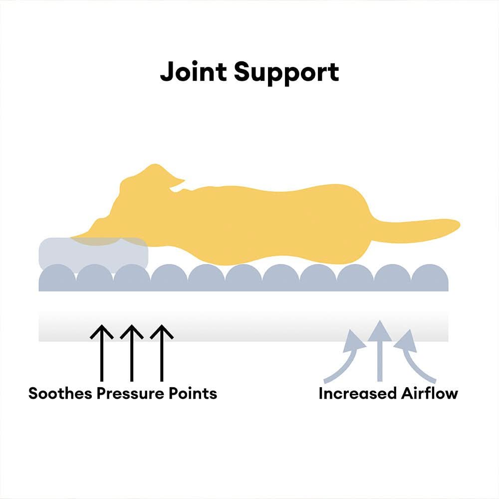 DroomPoot Orthopädisches Hundebett – Robuste Liegefläche mit Nackenstütze und Abnehmbarem Bezug