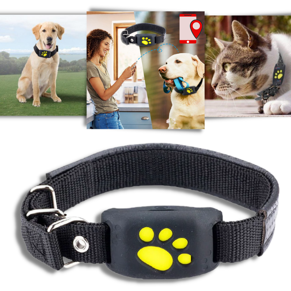 GPS-Tracking-Halsband für Haustiere