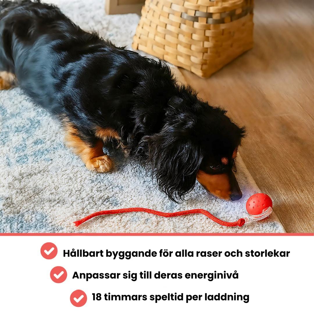 PawTail | Speedy Tail Hundejacke Leicht Wasserfest Atmungsaktiv