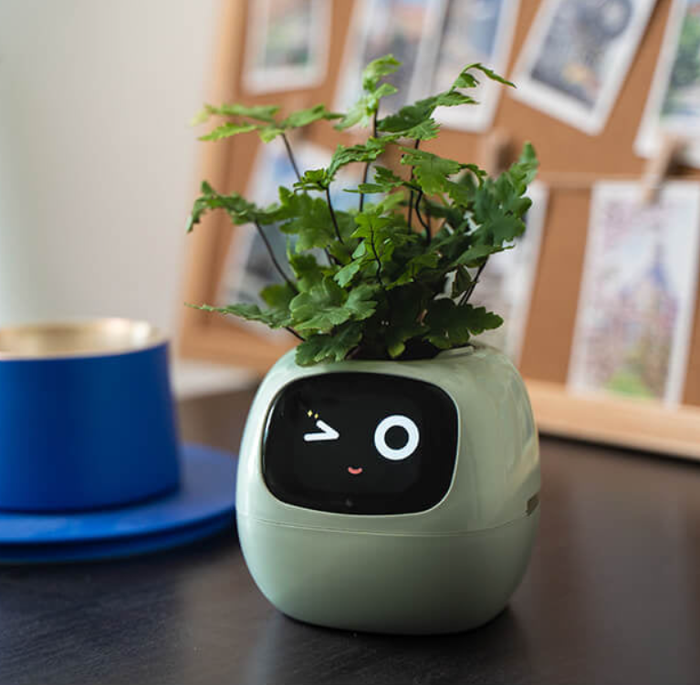 EmojiPlant | Kreativer Emoji Blumentopf